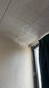 The room had mild and looked like they slapped paint on an extremely poor renovation.