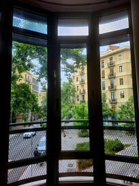 View of the street from the living room.