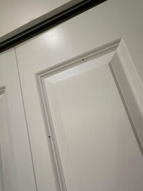Fruit flies on the closet doors