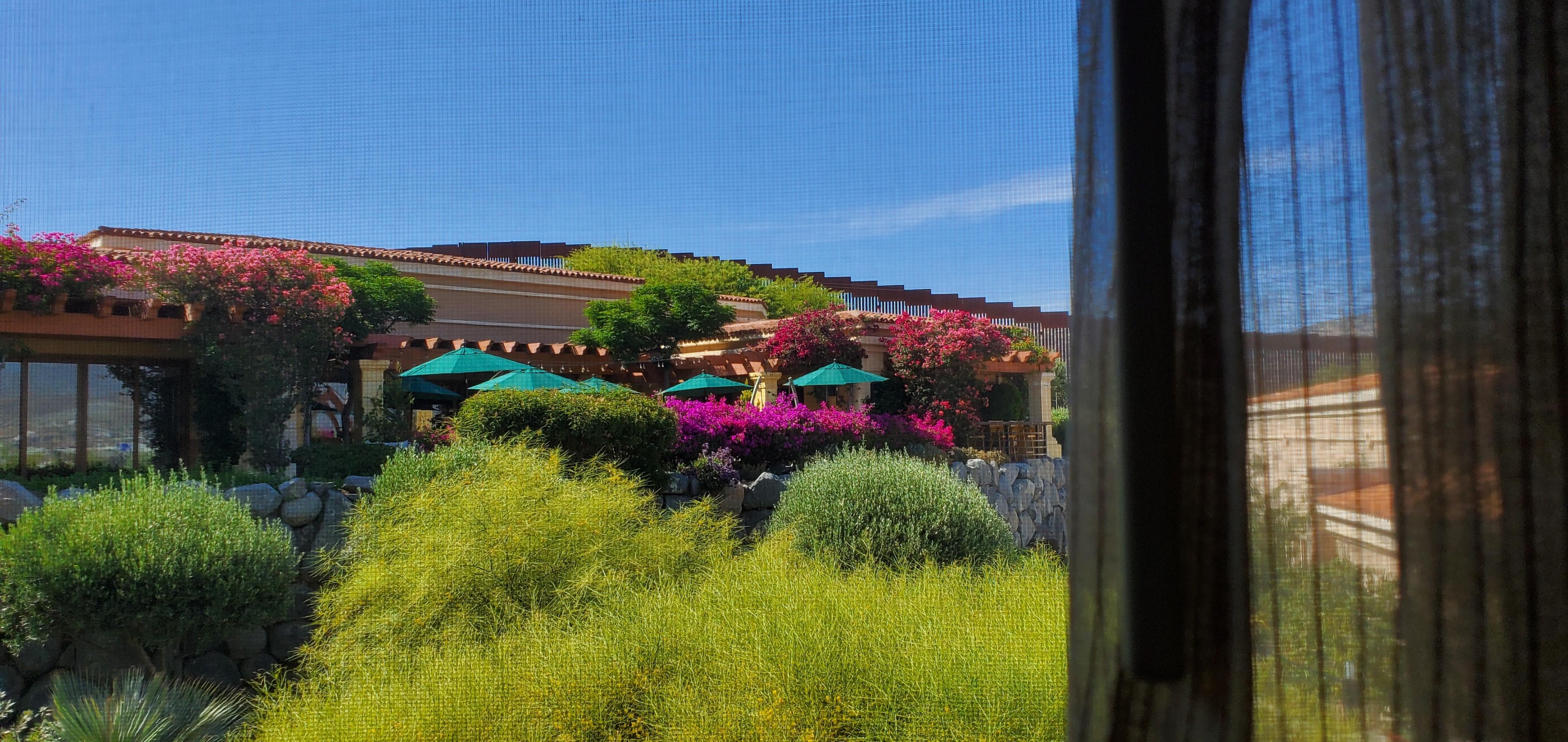 View from room