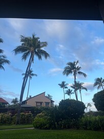 Morning time sitting on the lanai.