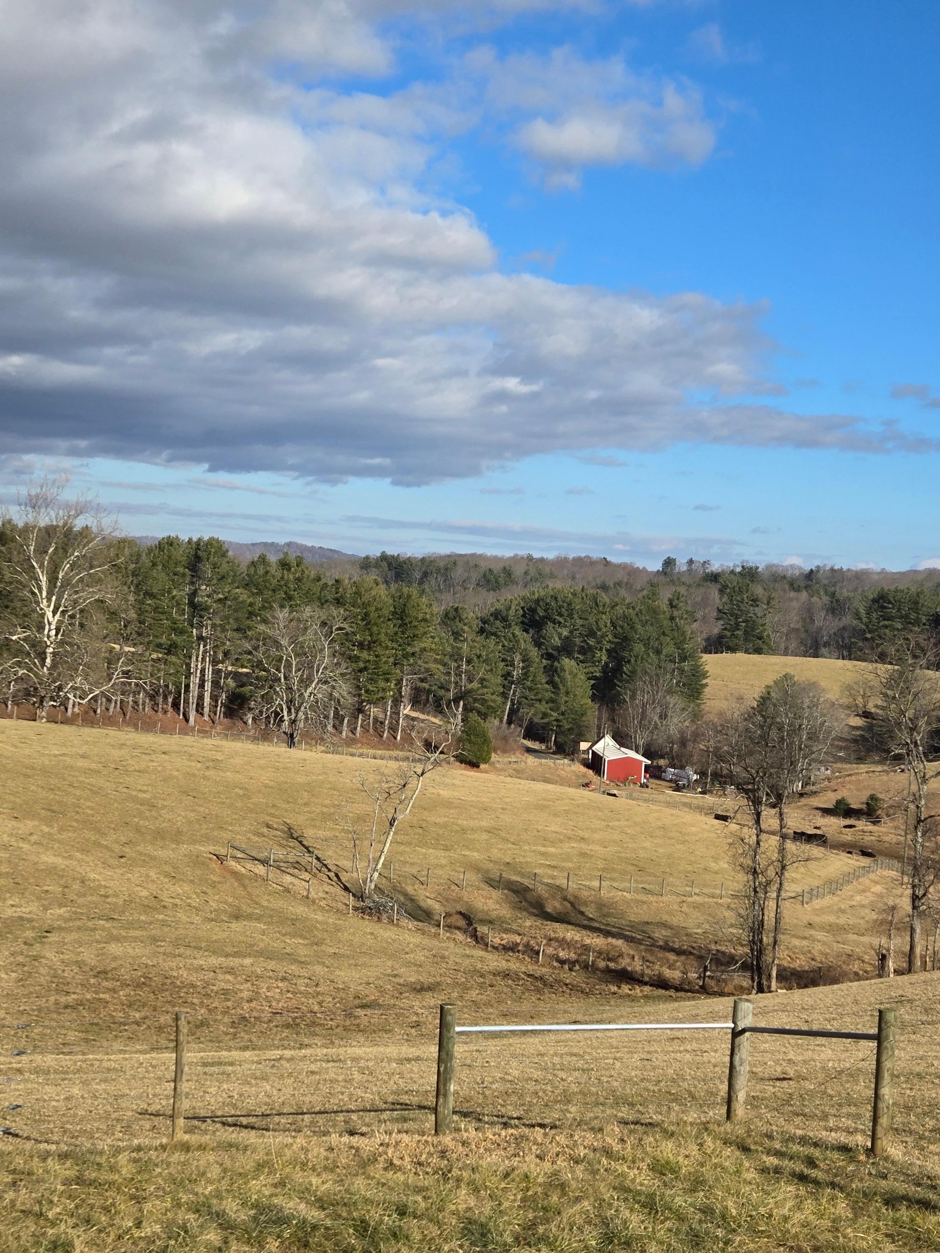 Our view from the back porch. It was nice and quiet.