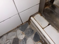Moldy shower