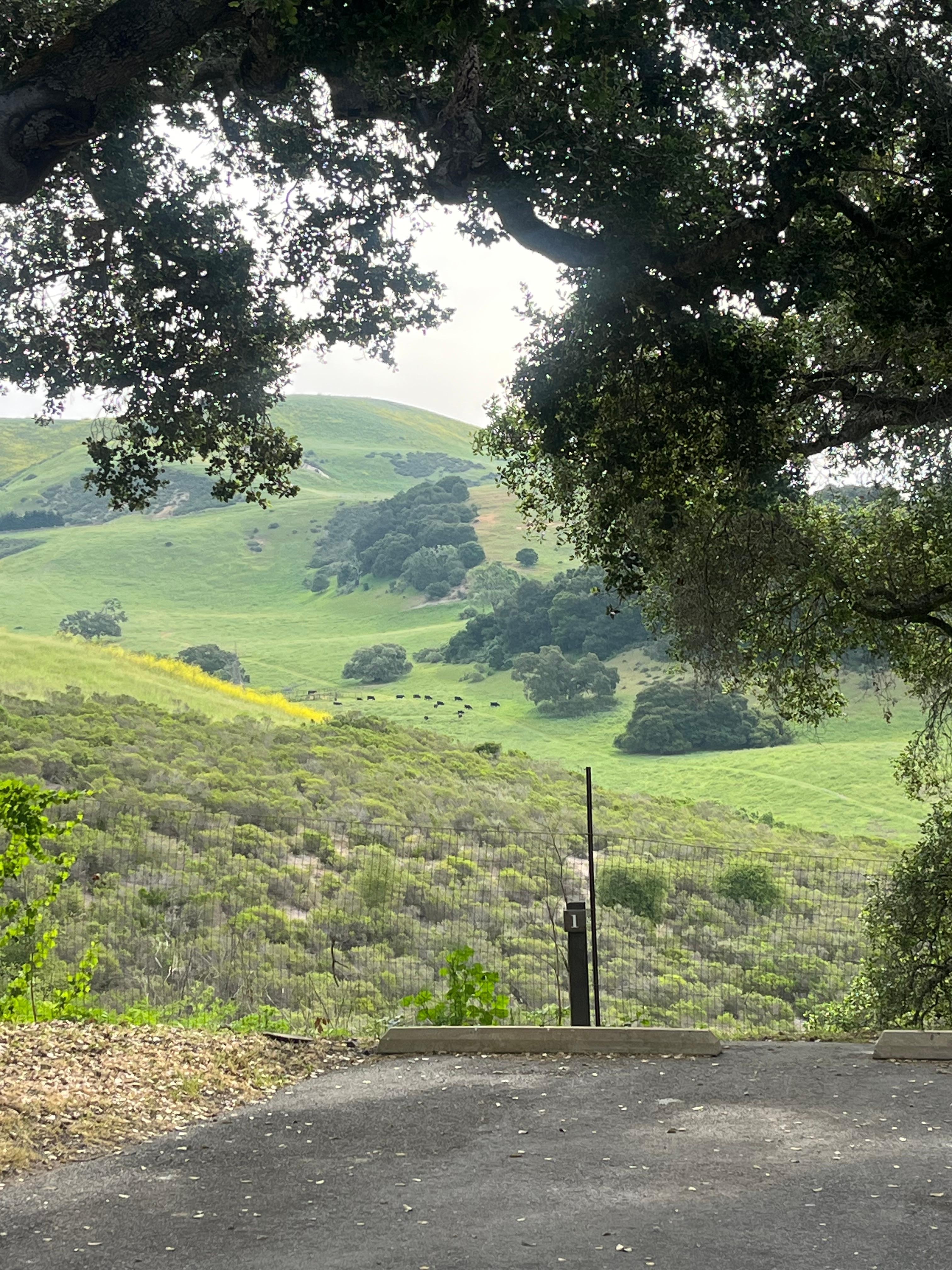 Incredible view of the property on my morning walk