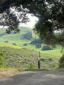 Incredible view of the property on my morning walk