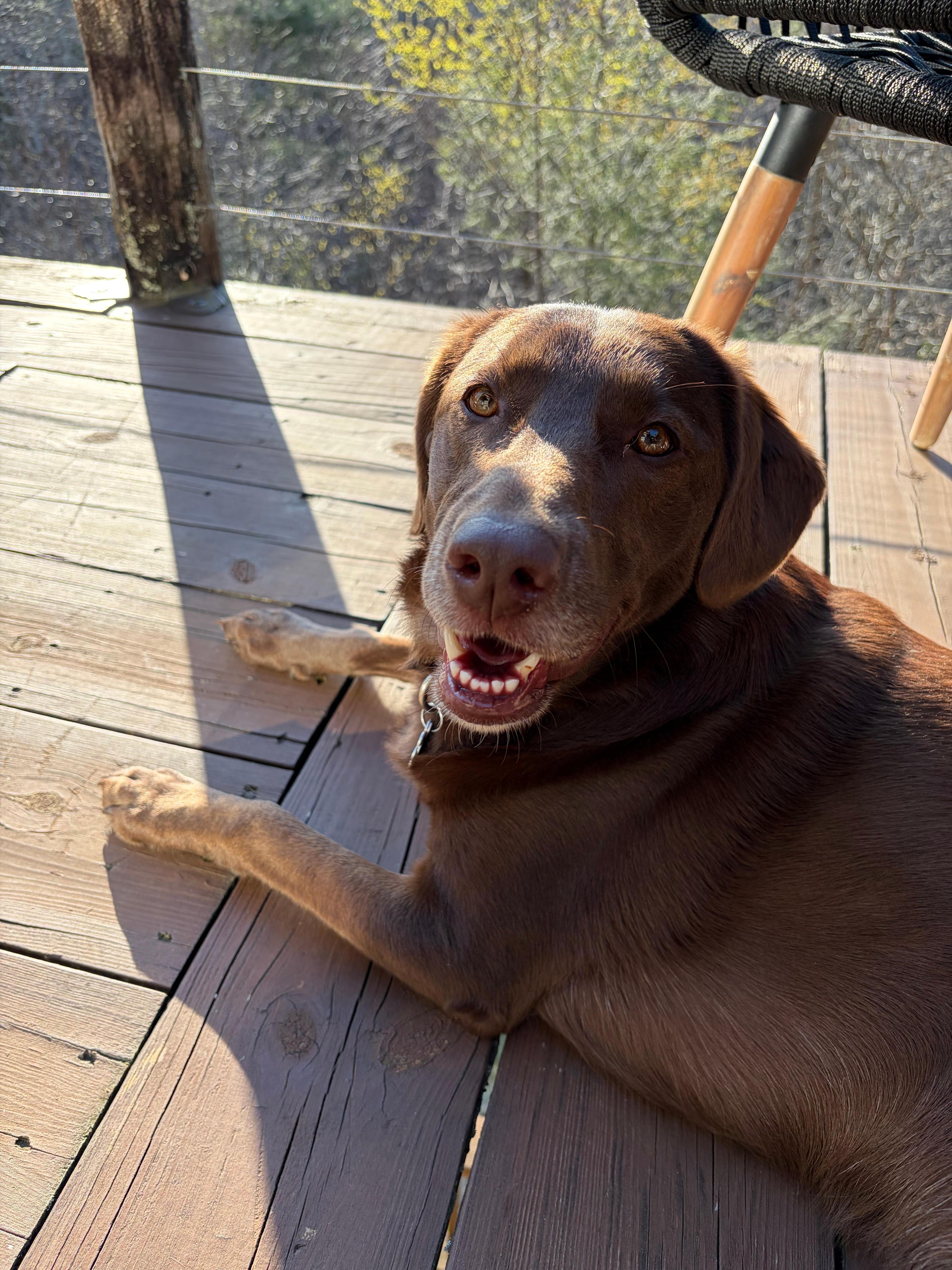 Yona Ridge is dog approved! 