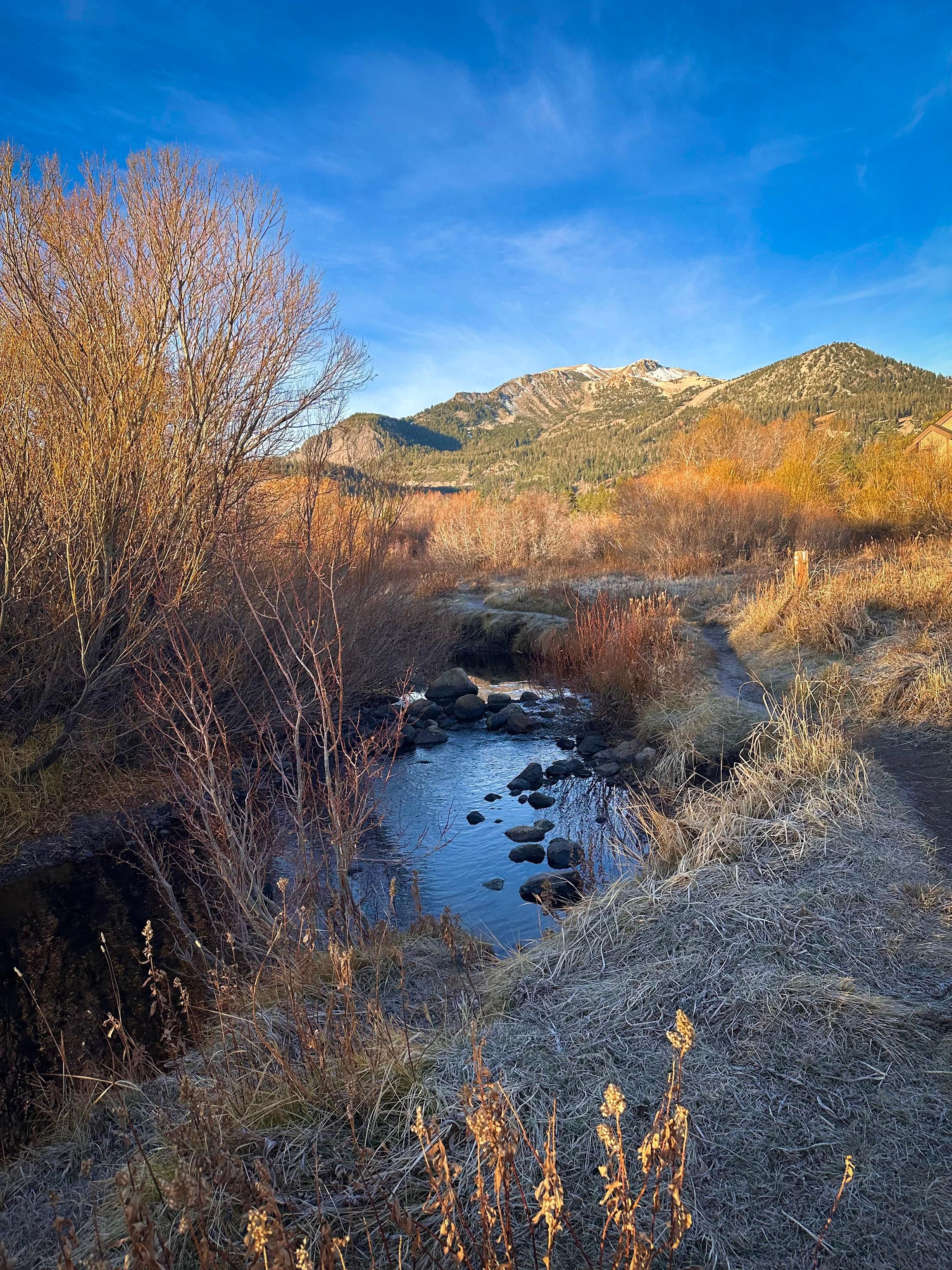 Walking path on property.