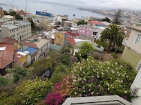 The gardens and patios