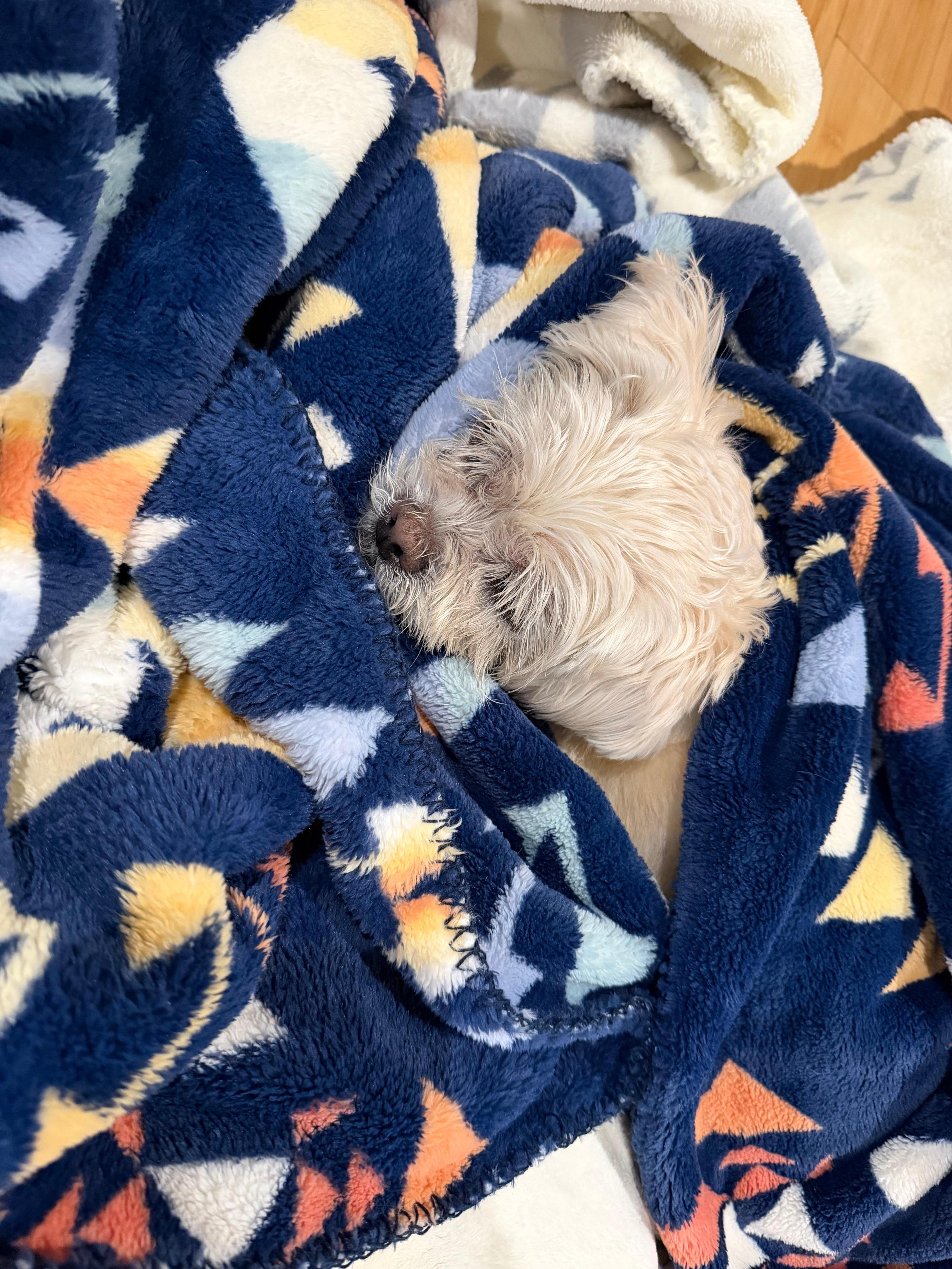 Bell enjoyed the house but didn’t love the cooler weather 