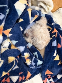 Bell enjoyed the house but didn’t love the cooler weather