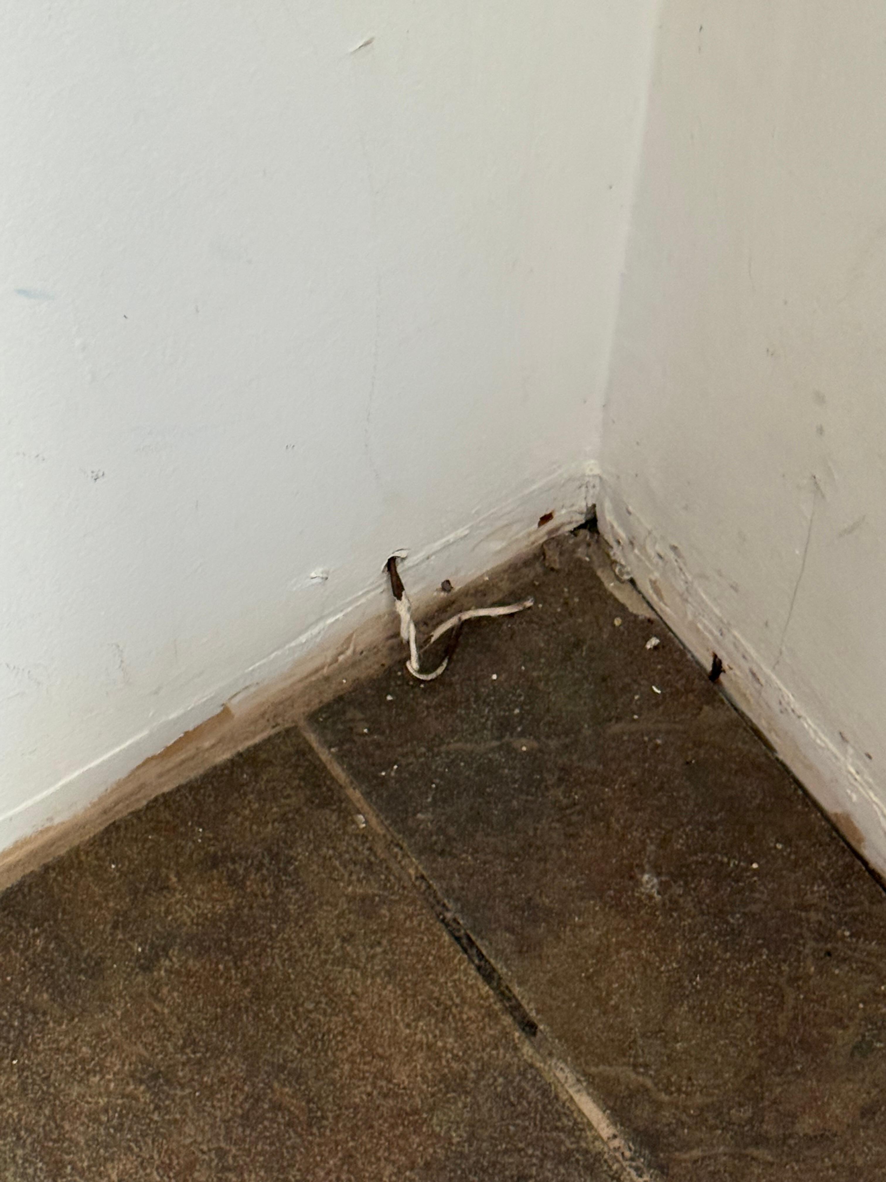 Exposed wires 