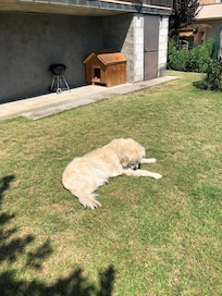 Auch Bonnie hat sich sehr wohl gefühlt