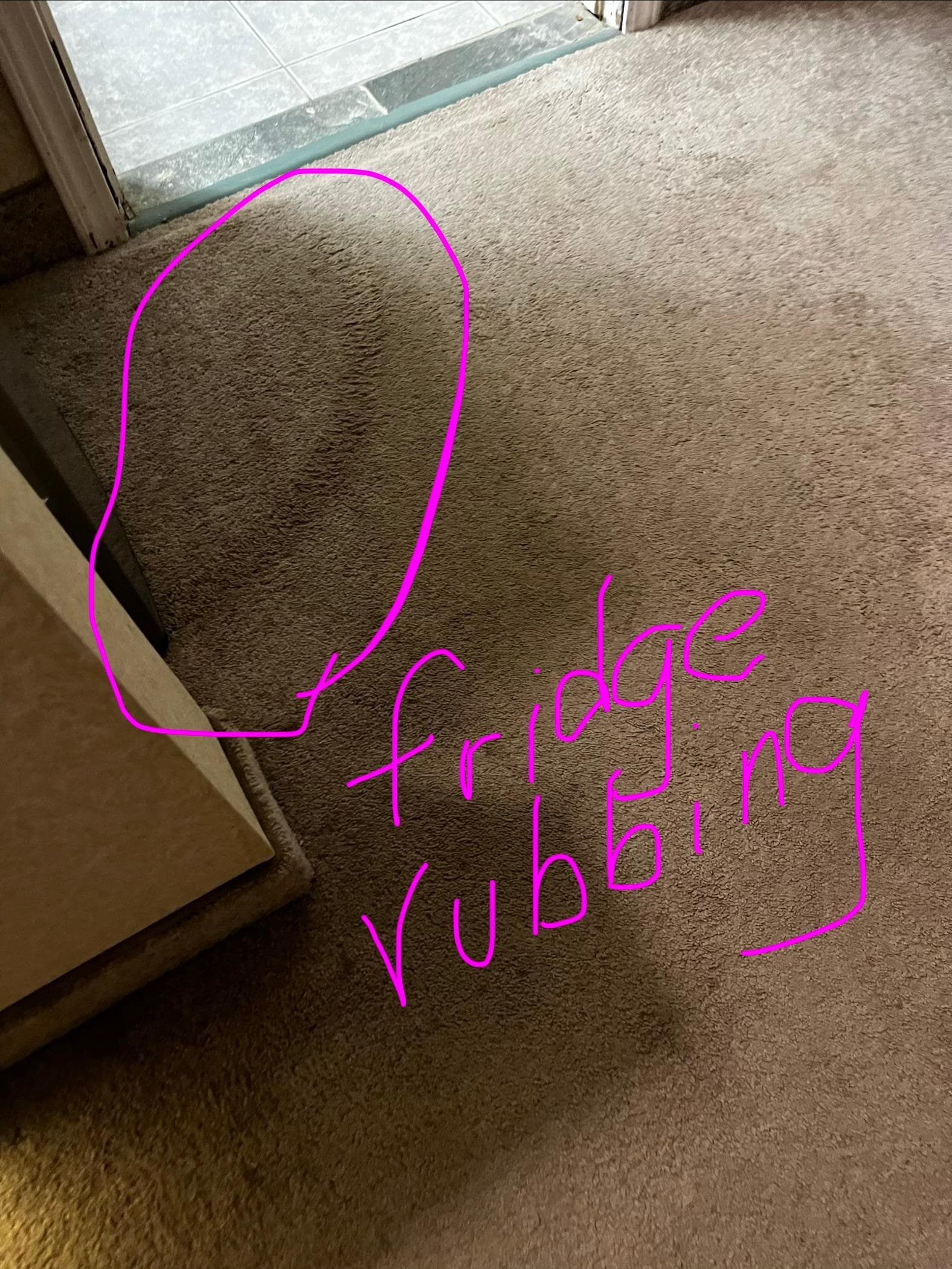 Fridge door rubbing on carpet 