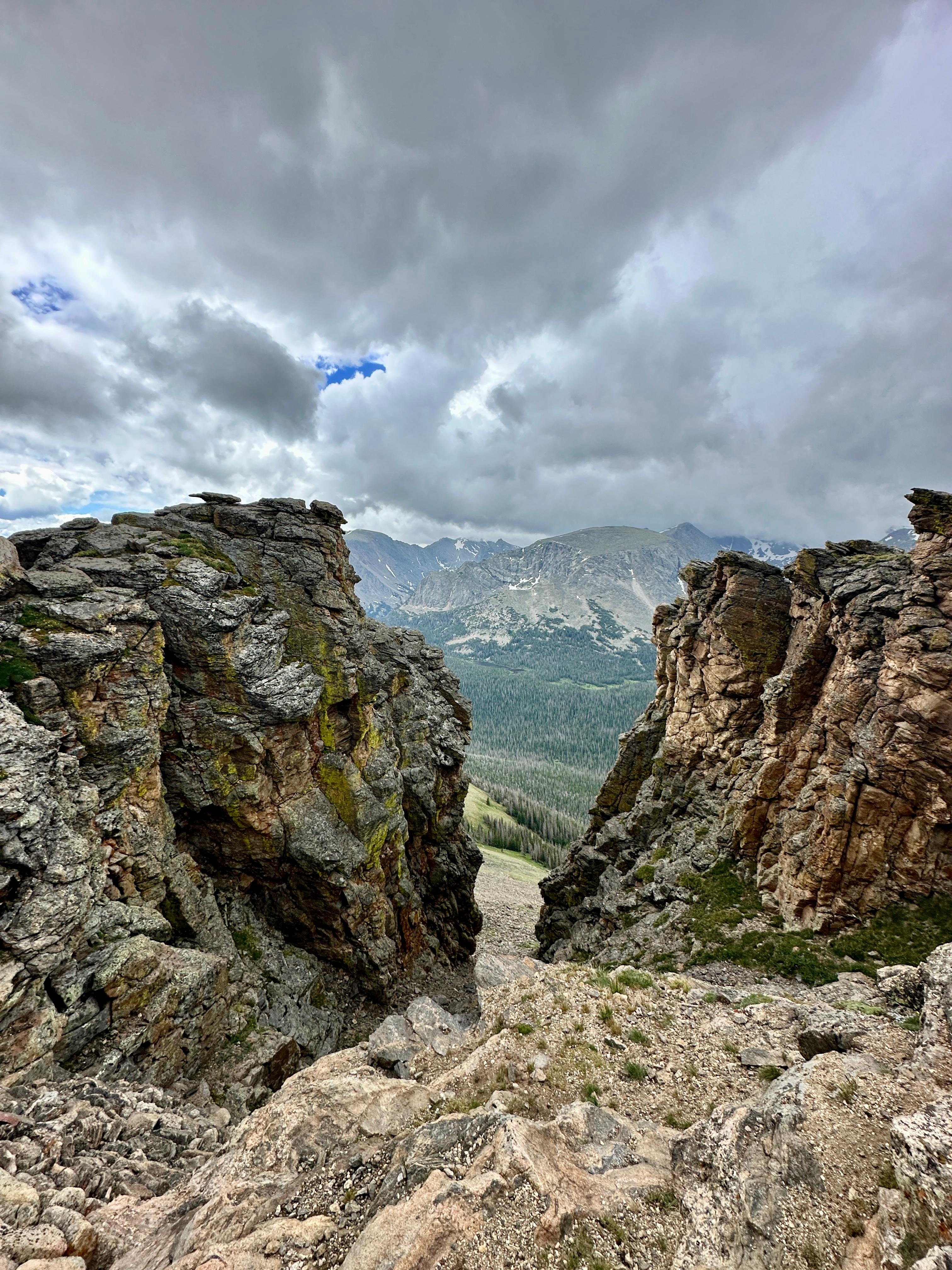 Rock split on Trail Ridge Rd in park