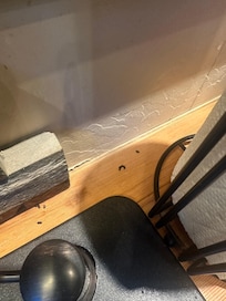 Mouse feces on counter. This happened overnight.