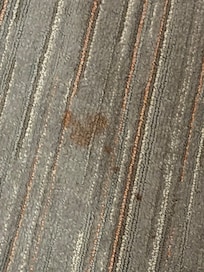 Carpet stained