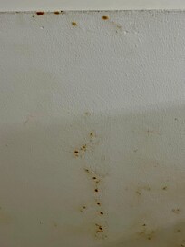 Mold/mildew in front bathroom