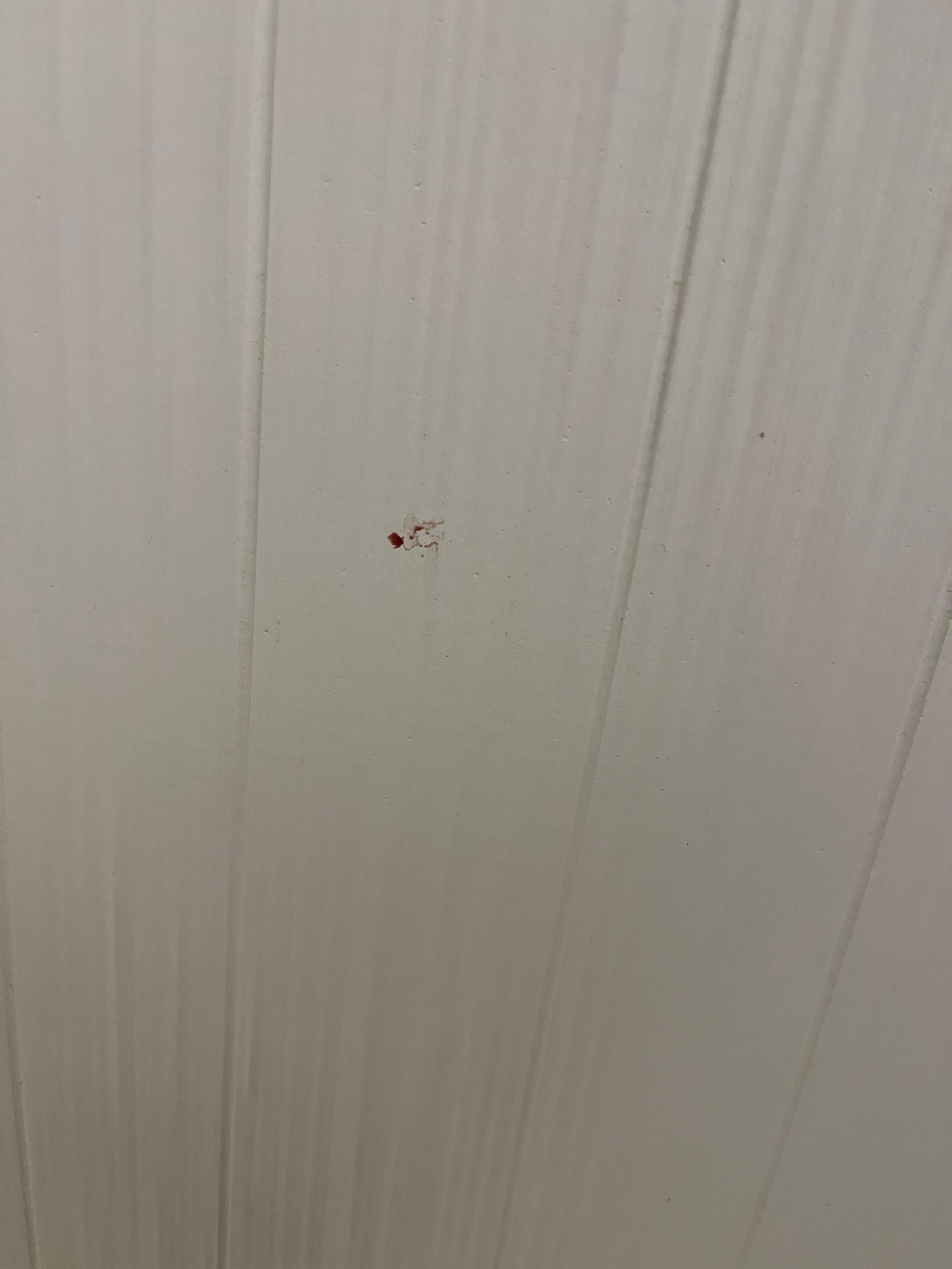 One shower had blood on the wall