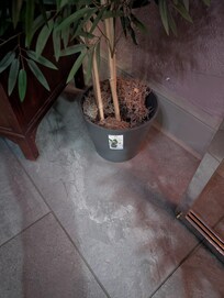 Main entrance into reception (lack of attention to detail).