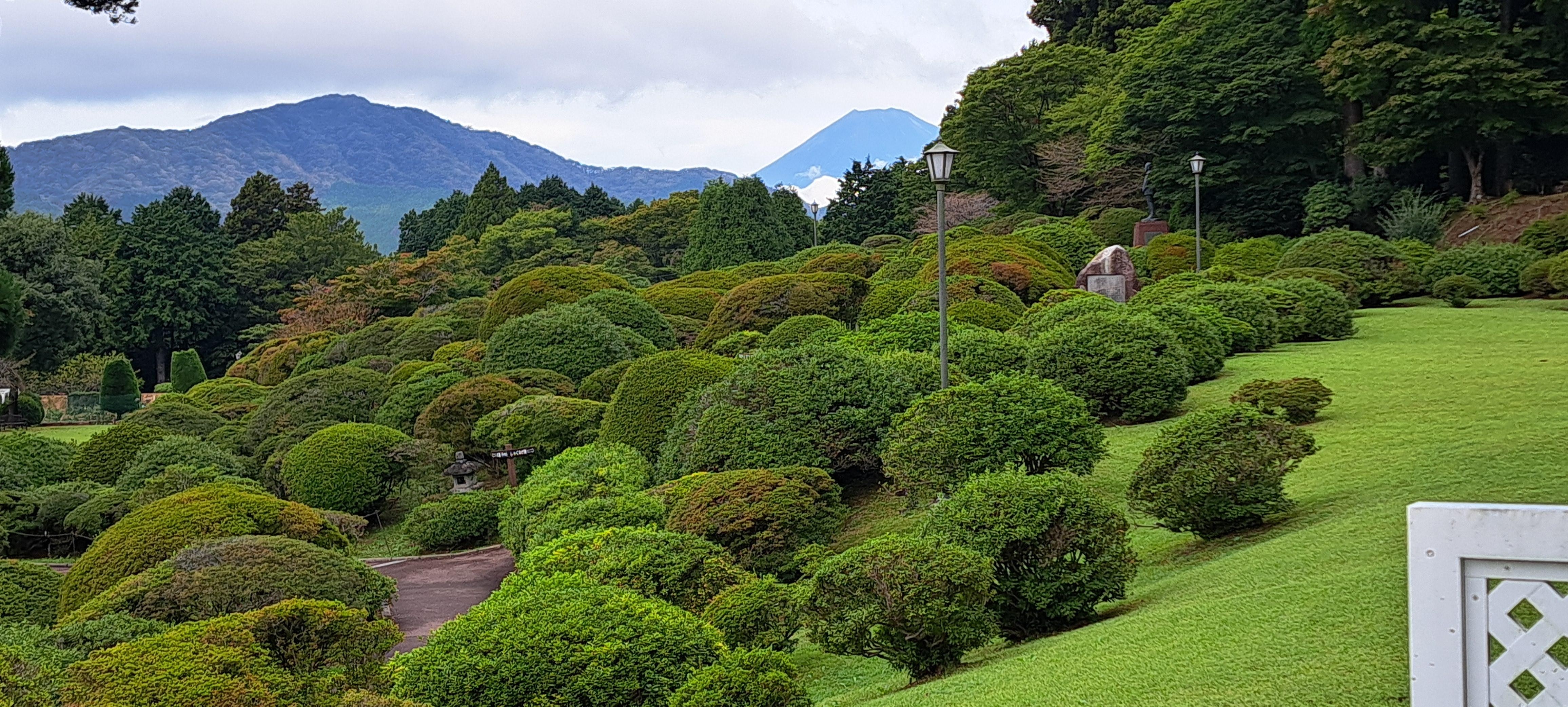 Mt.Fuji from our Patio