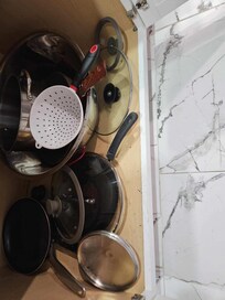 Rodent droppings