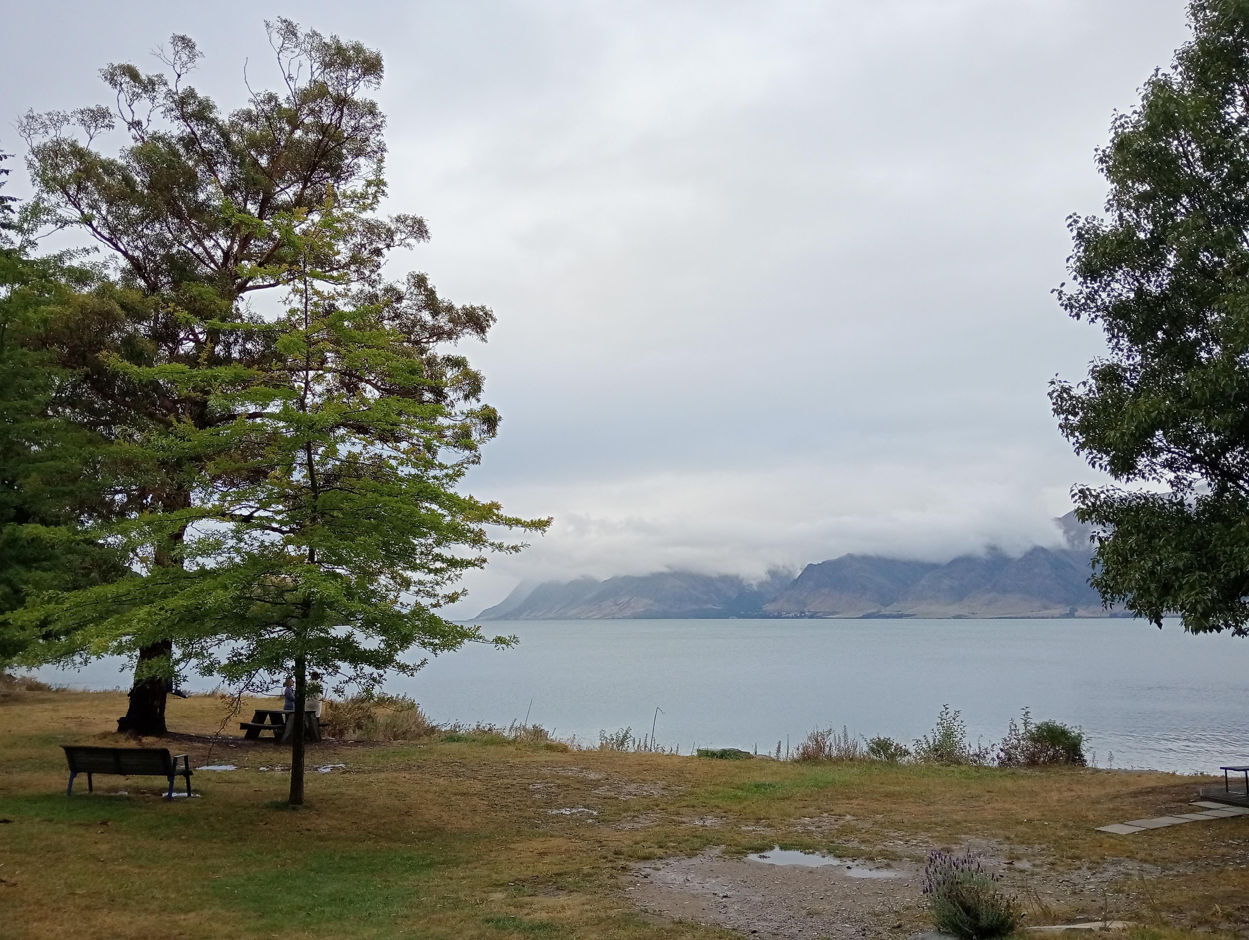 View from the tiny house