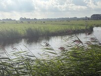 Blick von der Terrasse auf die Kracht