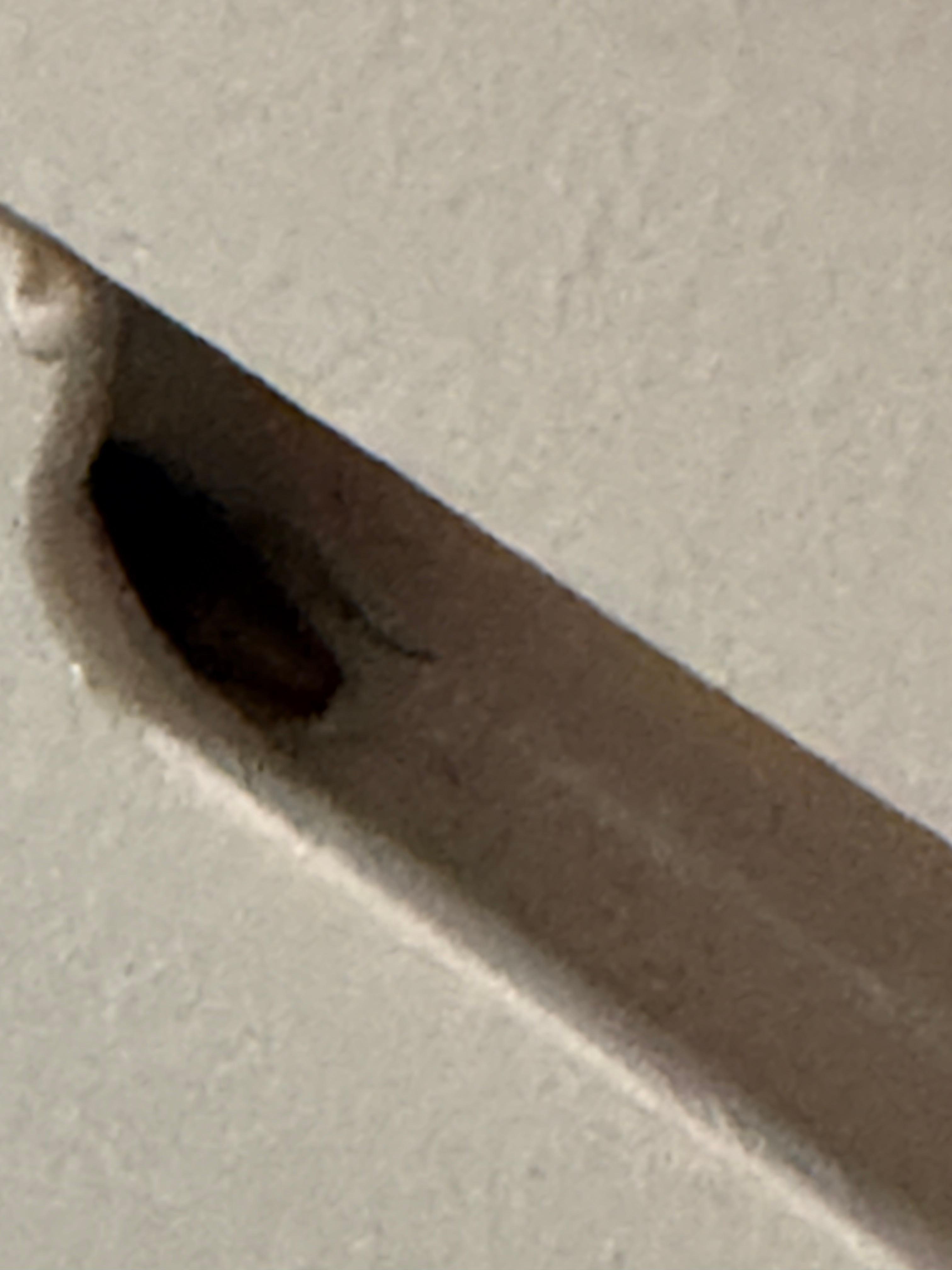 The cockroach in the drawer. Oh, yeah one out of the four drawers did not work. Also fridge stunk and was dripping condensation. 