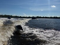 Avi’s Jest Ski tour.. the dolphins came to play too!