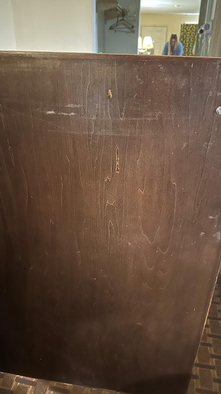 Roaches running around everywhere