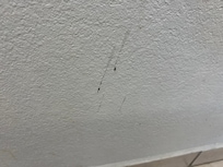 Blood on wall?