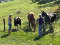 Friendly neighbors