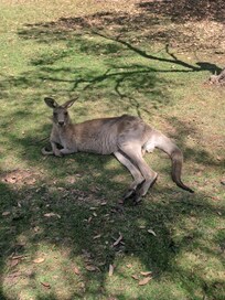 Friendly relaxed locals