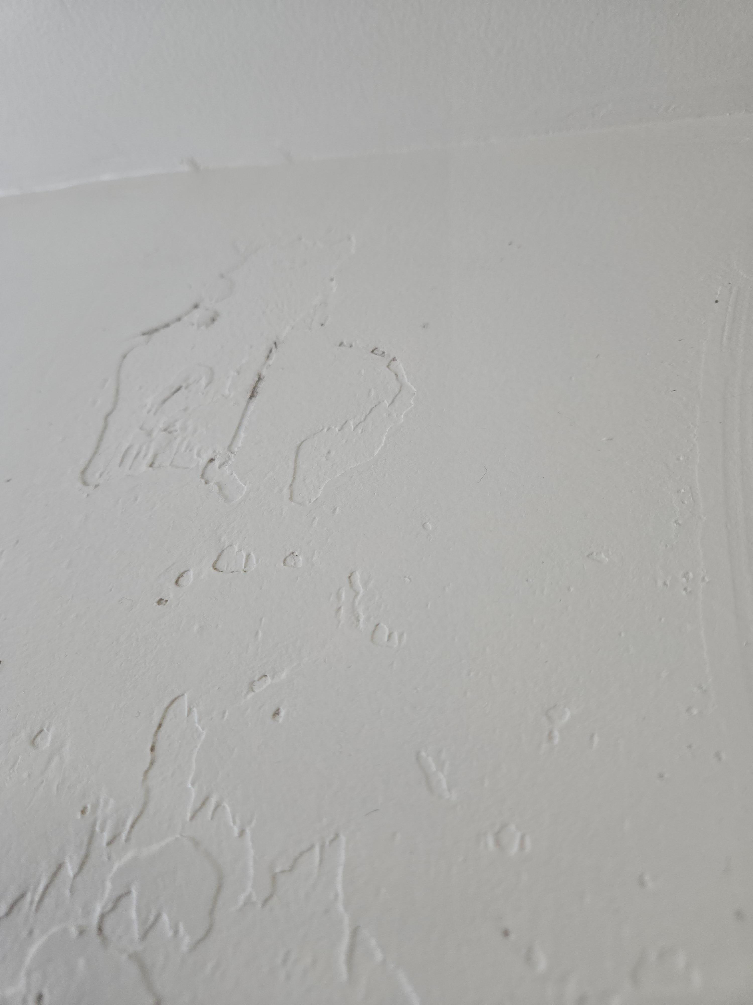 Mold on bathroom  ceiling 