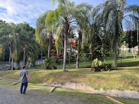 Mature trees surrounded the Location.