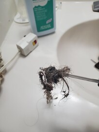 The hair I removed out of drain so water would drain and I could take a shower after I cleaned the shower