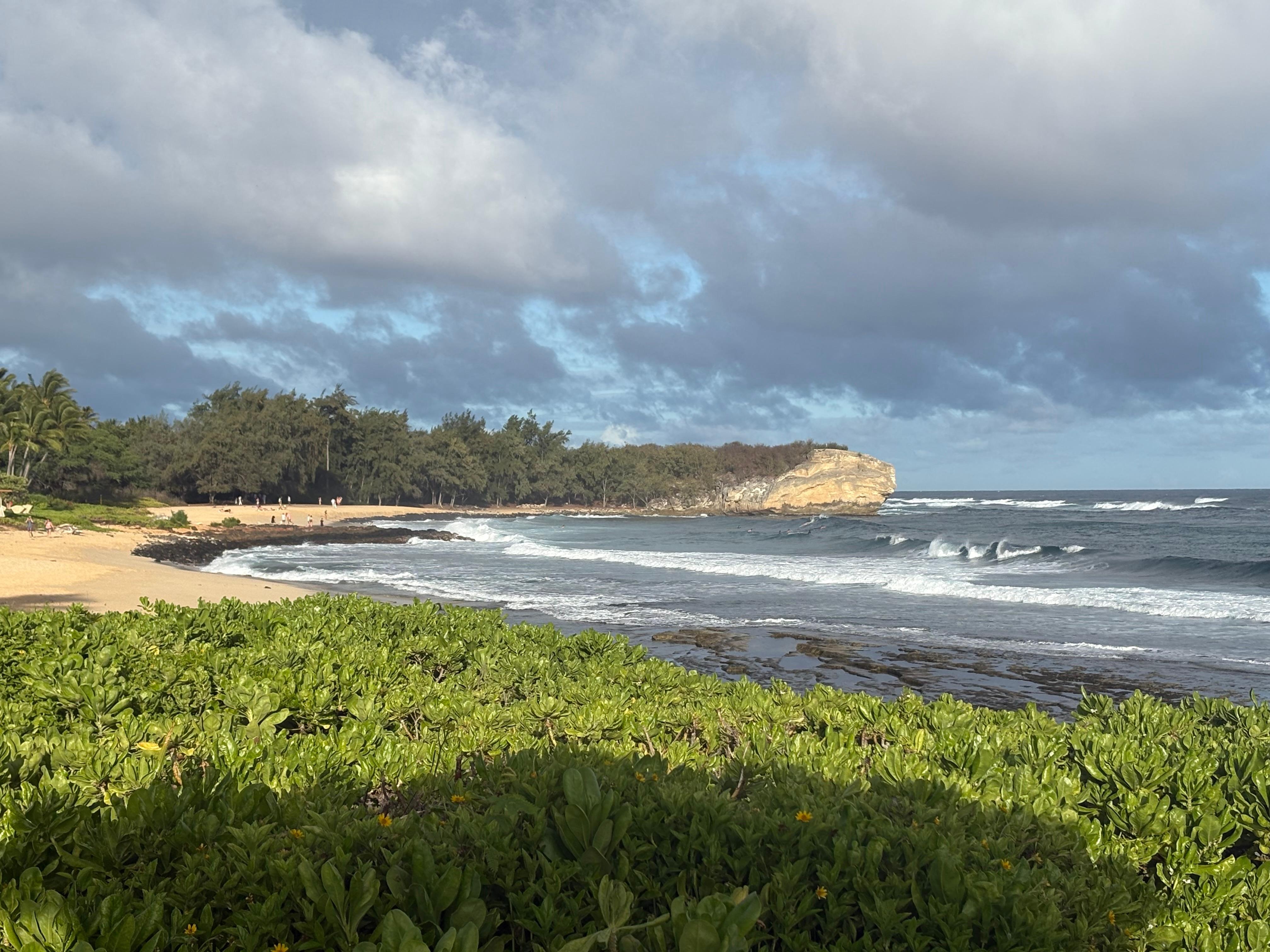 Great trail to walk over by Hyatt!