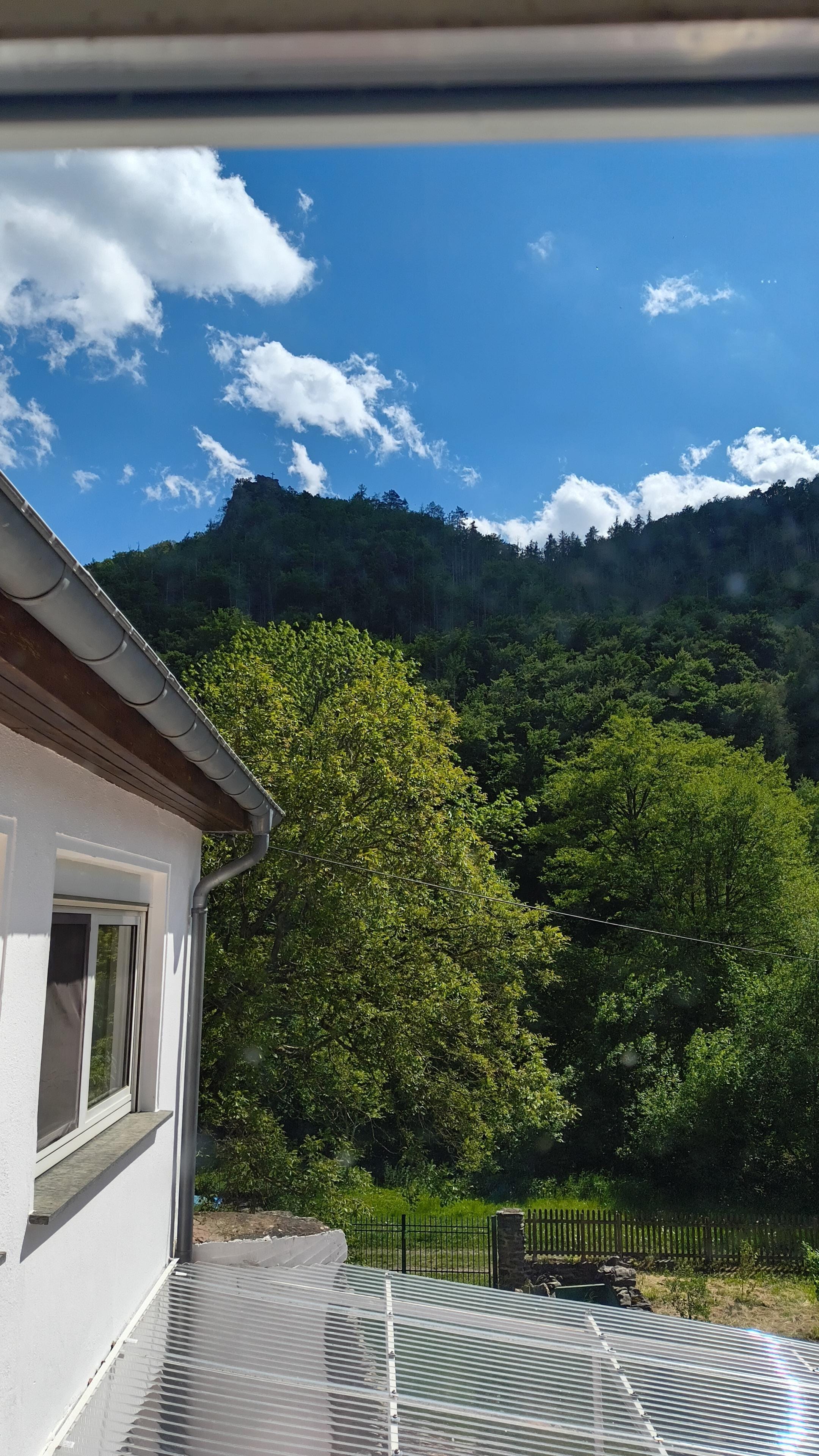 Der Blick aus dem Küchenfenster 