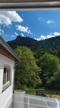 Der Blick aus dem Küchenfenster