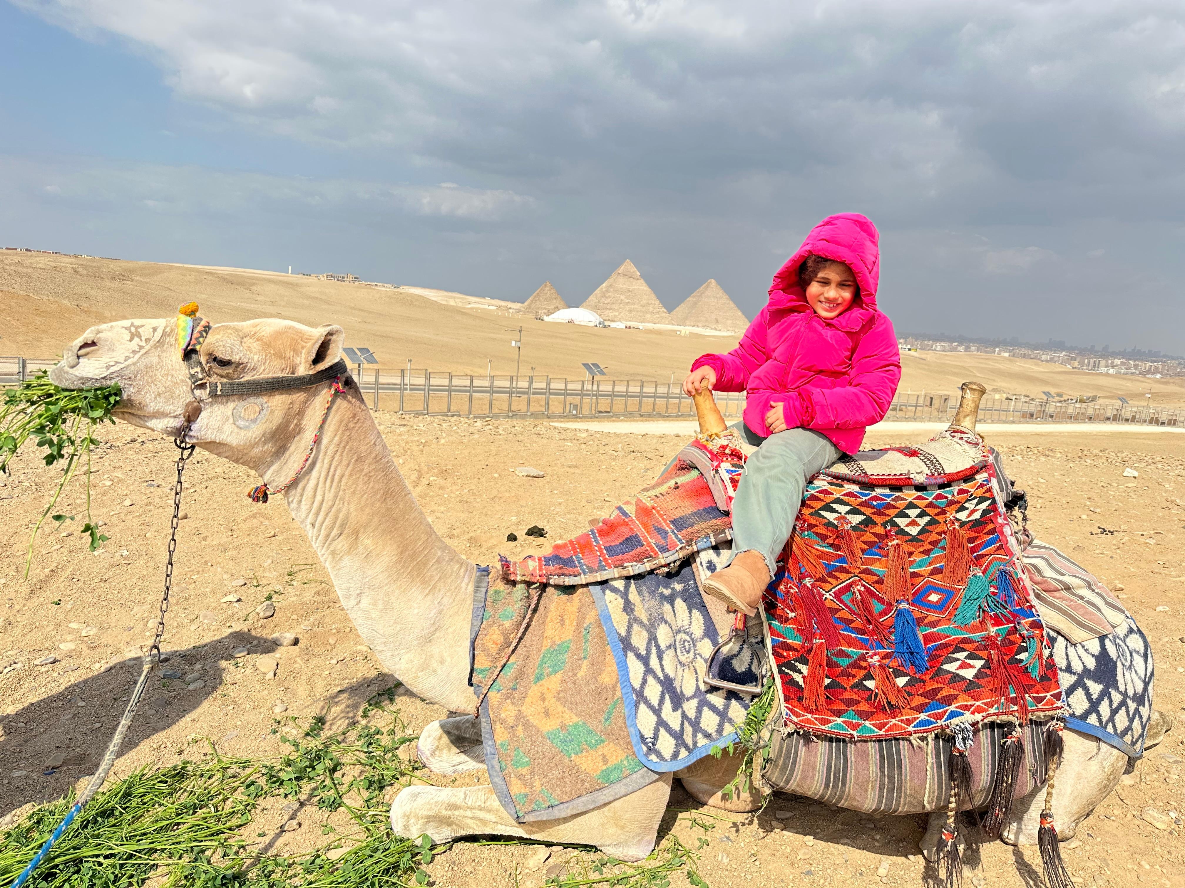 Camel ride provided by hotel for the kids 
