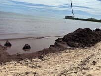Seaweed piles in front of the villa beach