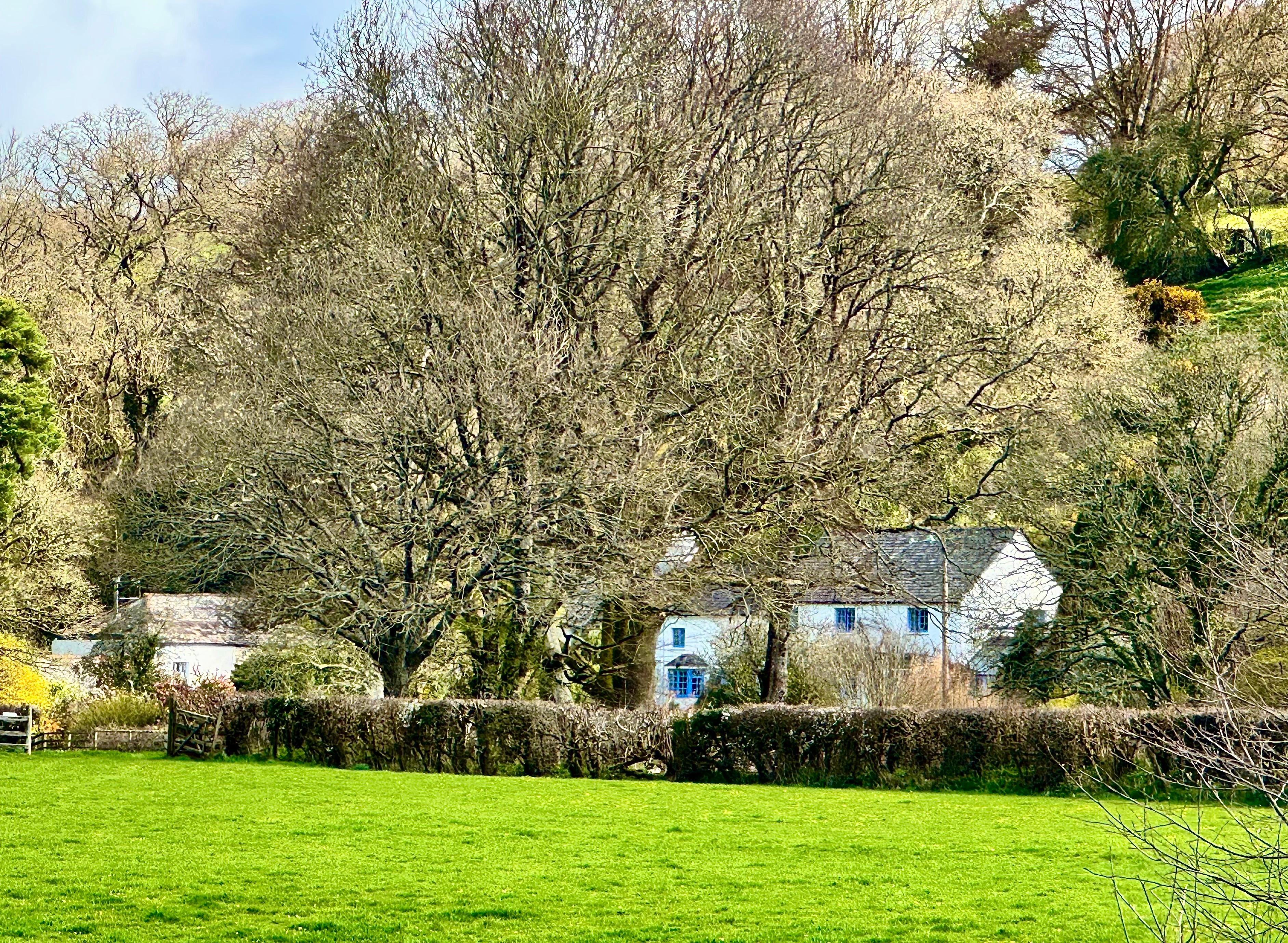 Looking back to property from field walk