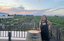 Beautiful views from elevated pario