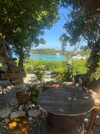 That view was incredible, they can drive you up and down the hill in a golf cart. Just ask!