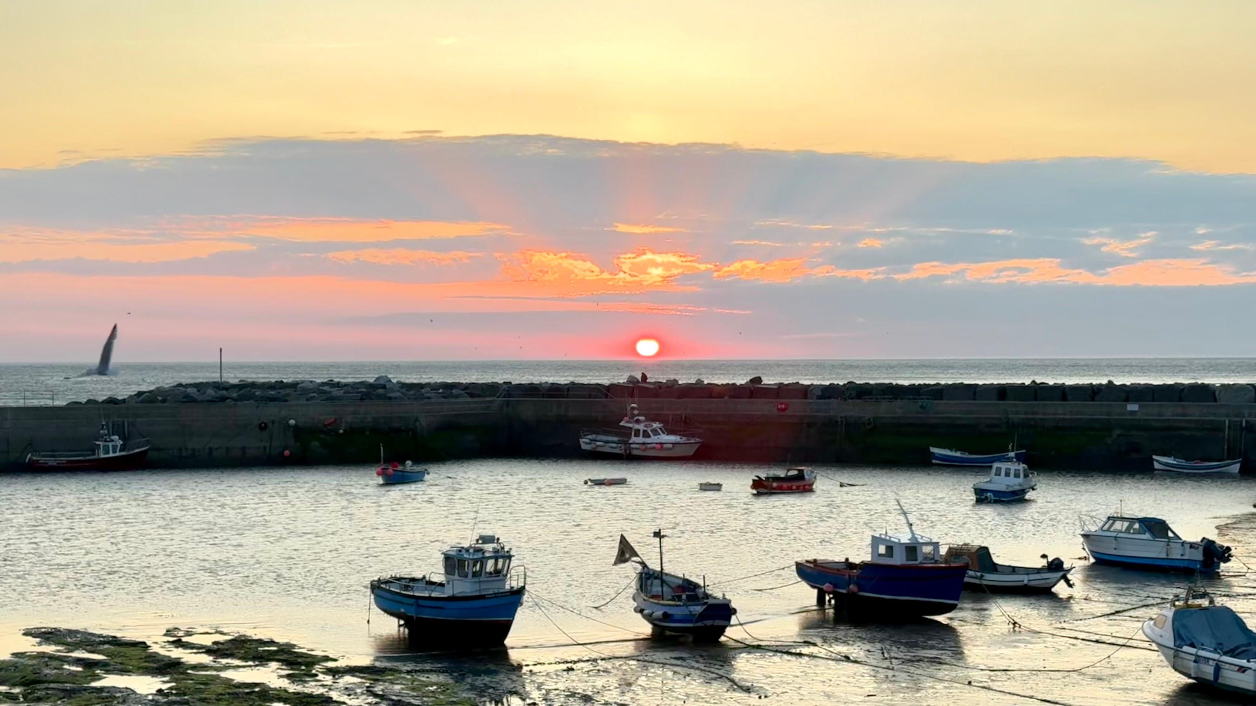 Sunrise from the harbour