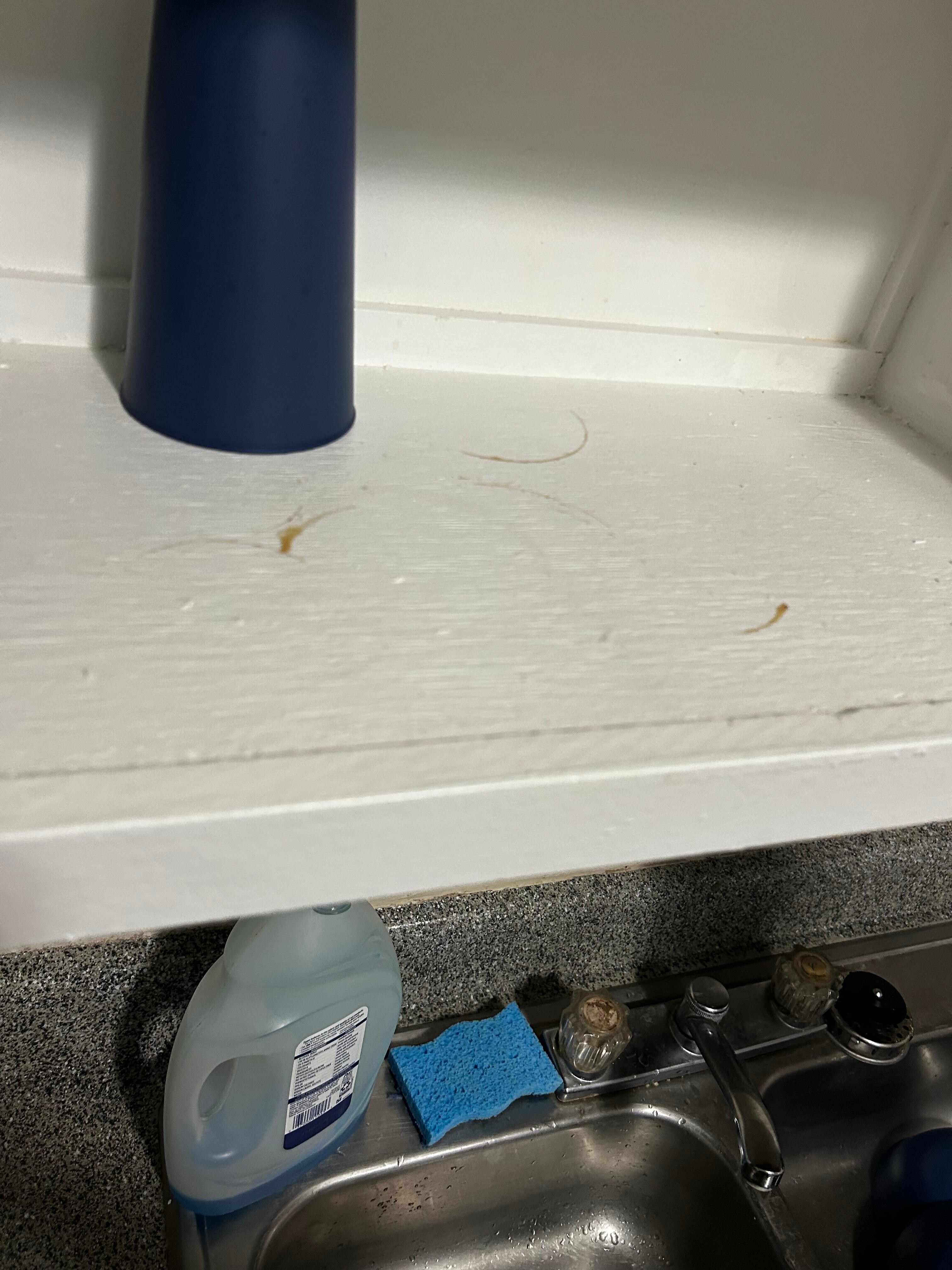 Dirty cup rings inside cabinets