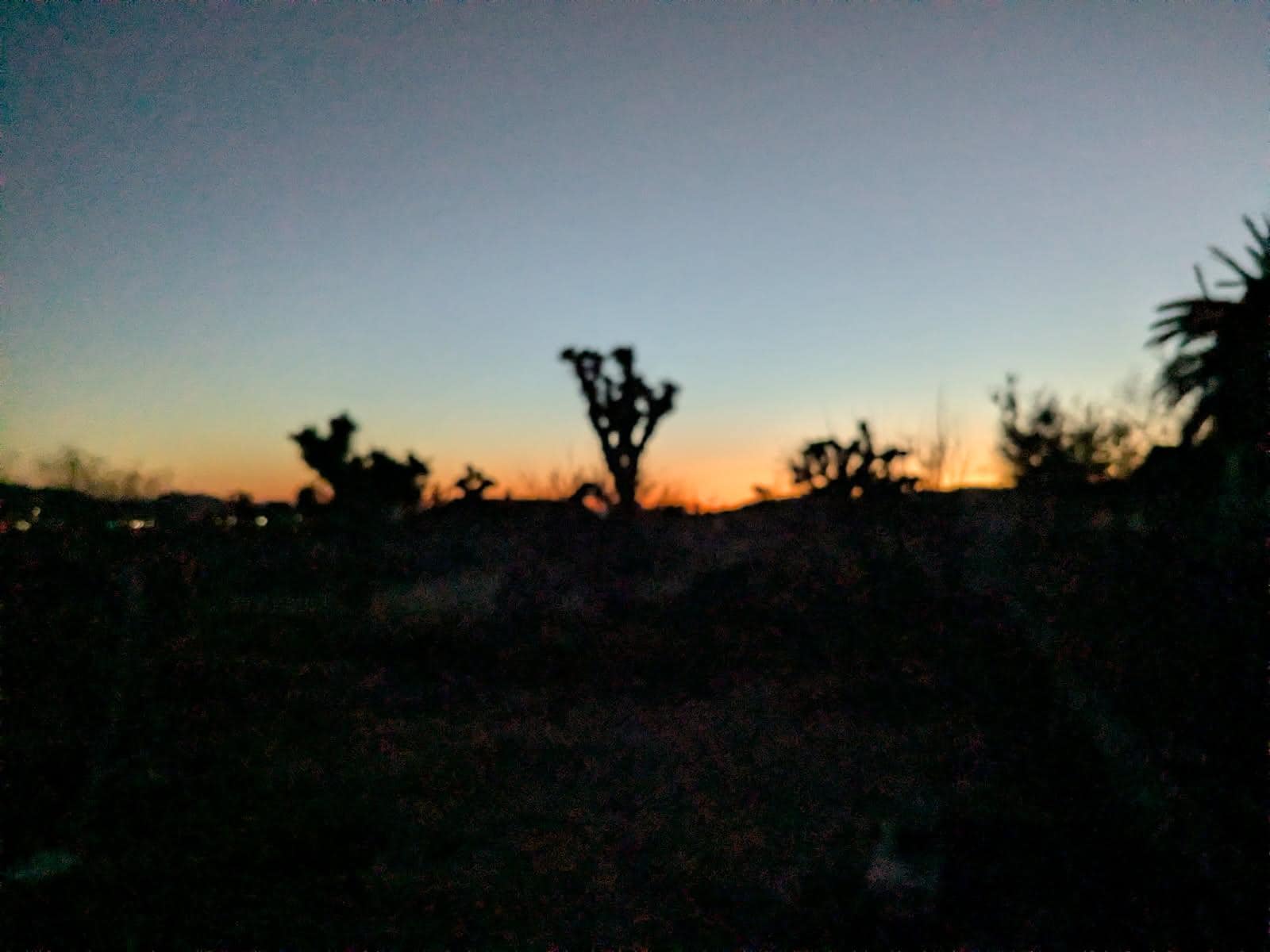 Sunrise picture from the backyard! 