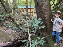 Backyard Creek