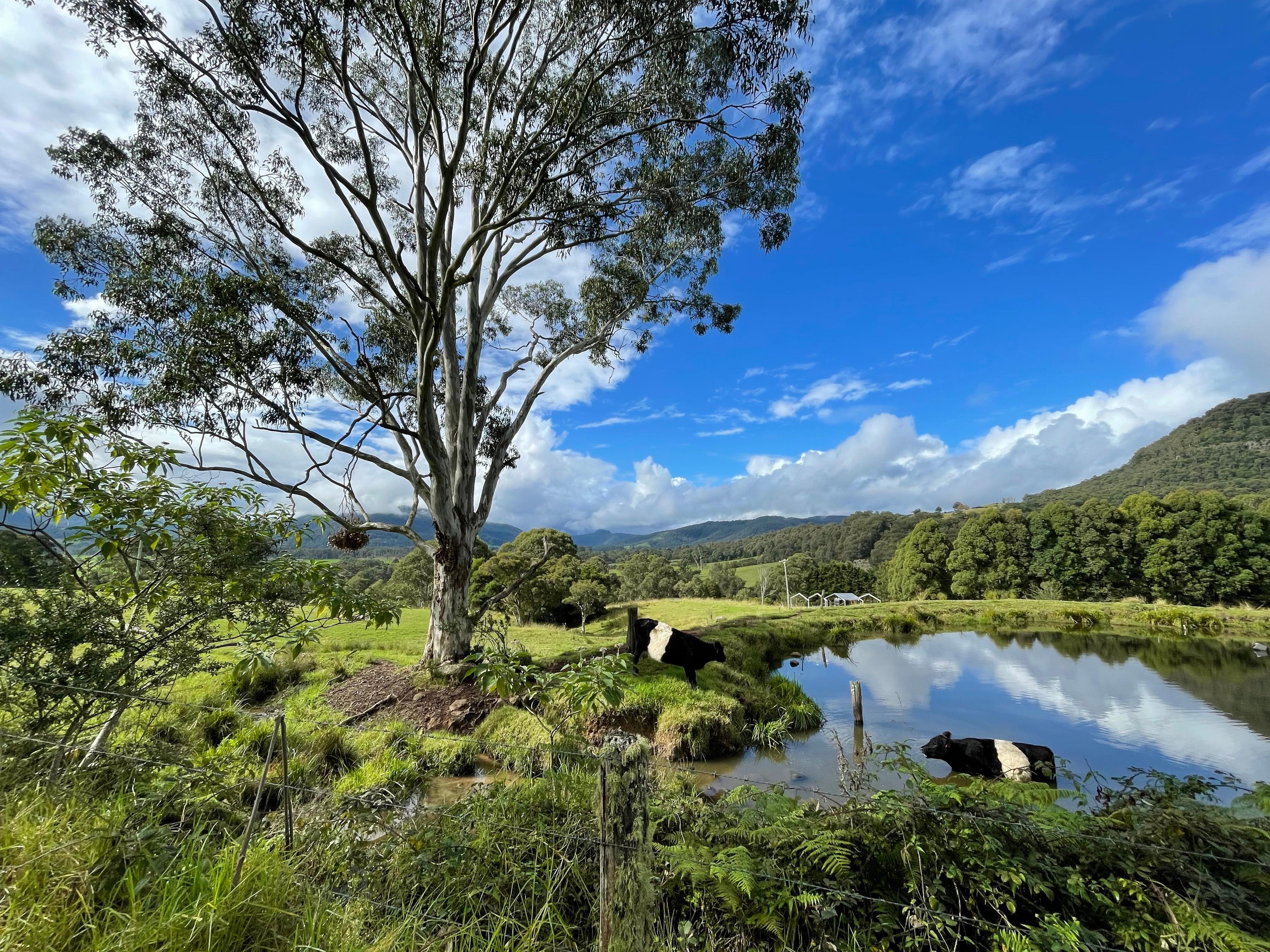 Beautiful views along Jarrett’s Lane in Kangaroo valley