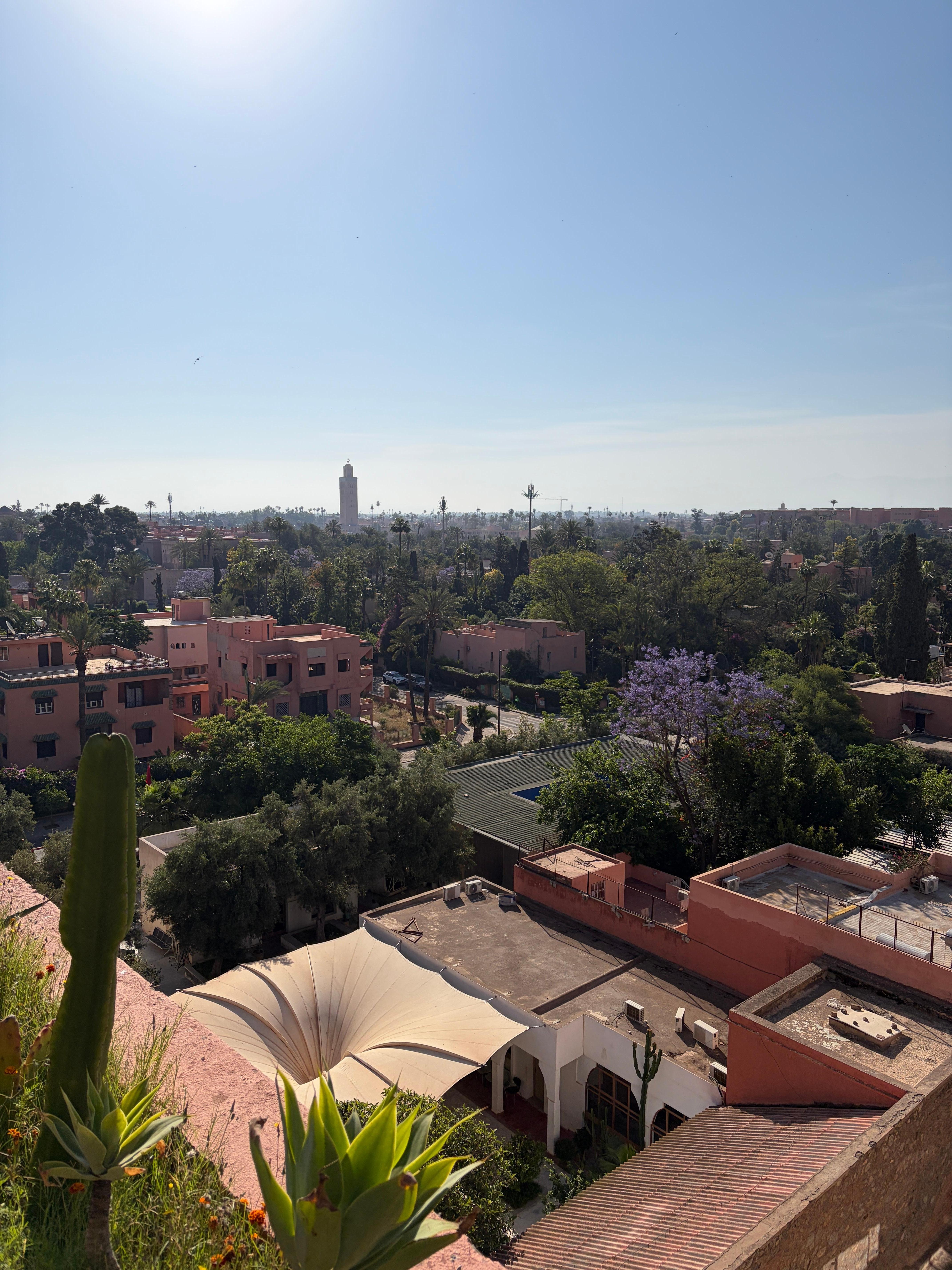 Rooftop view